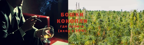 кокс Белокуриха