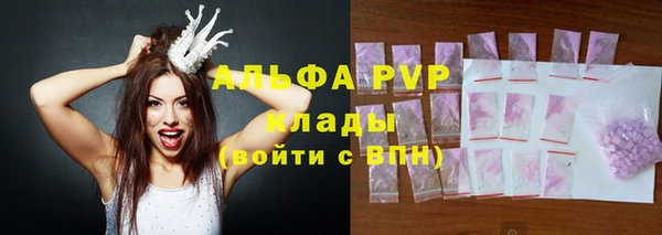 кокс Белокуриха