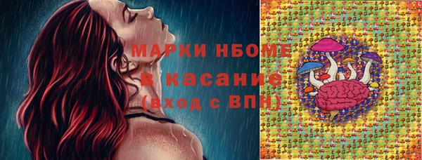 ГАЛЛЮЦИНОГЕННЫЕ ГРИБЫ Беломорск