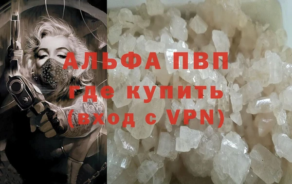 ГАЛЛЮЦИНОГЕННЫЕ ГРИБЫ Беломорск
