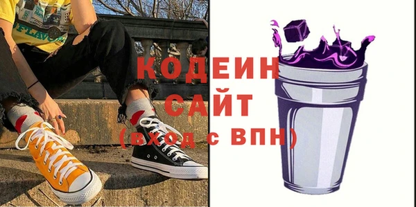 соль ск Снежинск